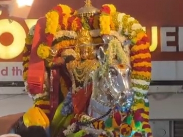 Silver Horse Chariot