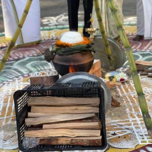 ponggal1