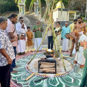 ponggal 3