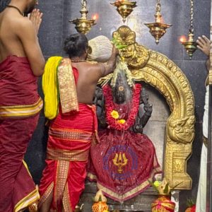 Kalvi Yagam 16