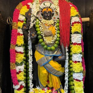 Aadi Durga Homam Poojai