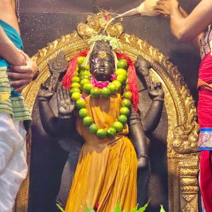 Aadi Durga Homam Poojai