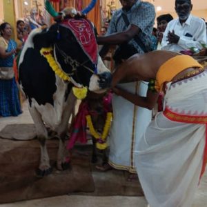 Puratasi Saturday Morning Pooja